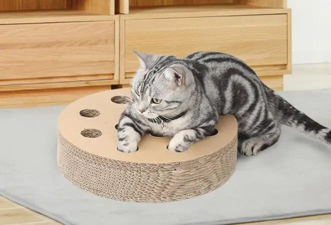 ROUND shape Cat Scratcher Fat Cat Bed Cardboard Paper High Quality Scratching Pad with funny toys